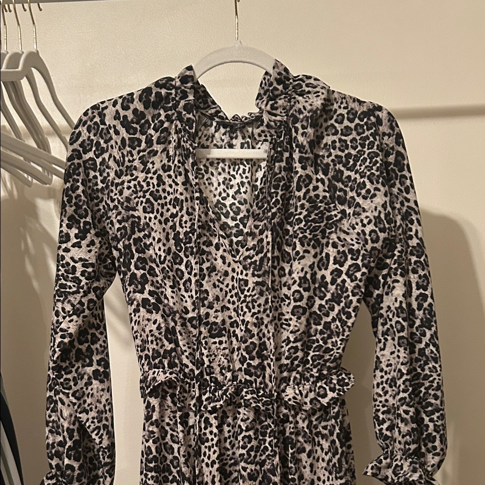 Leopard Print Long Sleeve midi Dress